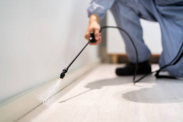 Bed Bug Pre-Treatment Preparation Assessment in Litchfield