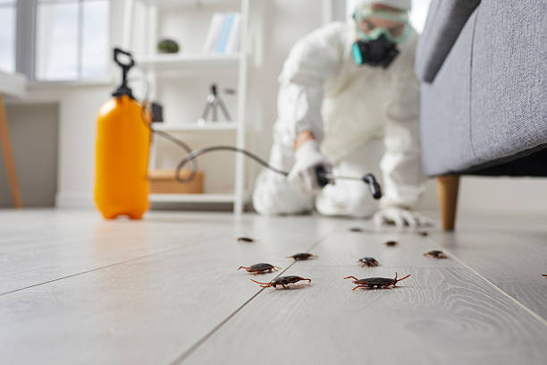 Post-Treatment Bed Bug Interceptor Monitoring in Litchfield