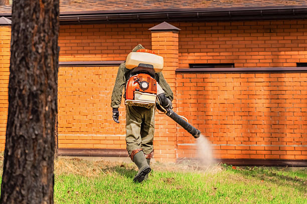 Bed Bug Clearance Verification and Documentation in Litchfield